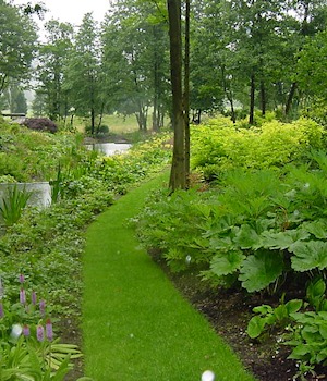 A mown path through woodland planting