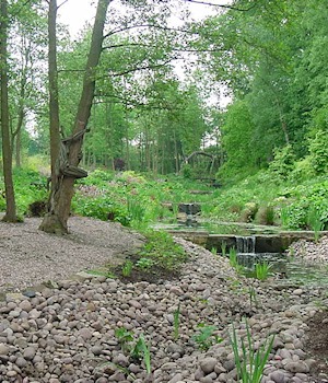 A cobbled stream bed with a small cascade
