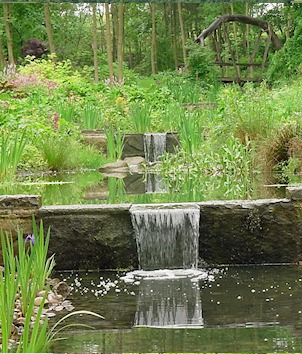 A stone waterfall into a planted pool