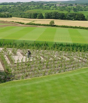 The maze planting with lawns and fields beyond
