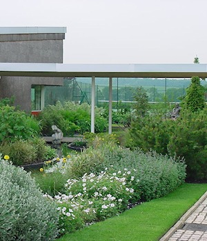 A border in front of a modern building
