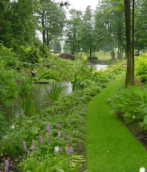 A mown path beside water through tall planting