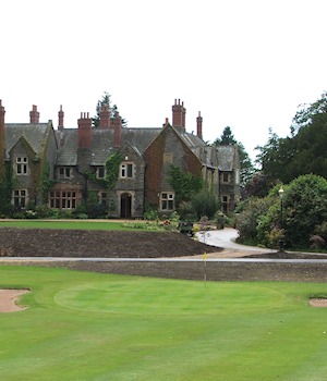 The new lawn in front of the house